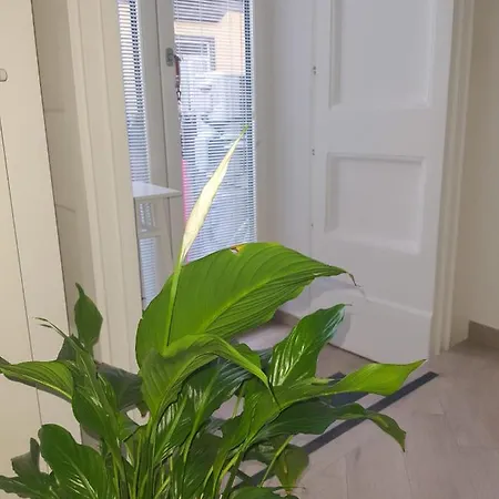 La Casa Di Maria 4* נאפולי