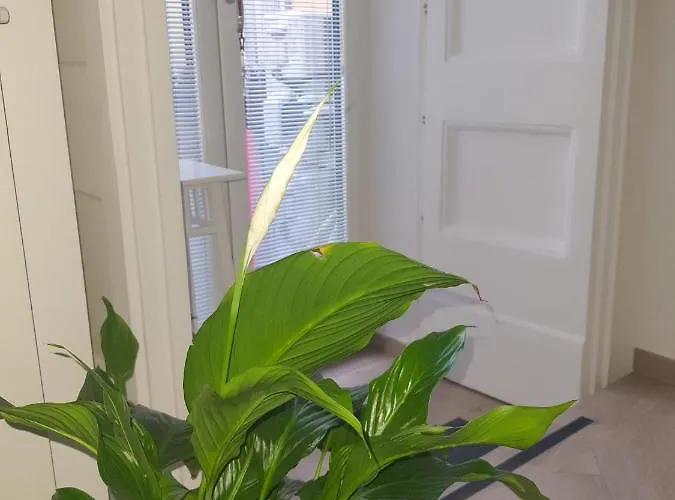 La Casa Di Maria 4* Неаполь